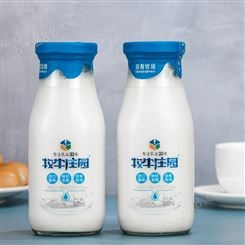 牧牛庄园原味酸奶饮品310ml整箱发酵饮品健康代餐
