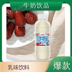 红枣牛奶饮品480gx15瓶风味蛋白饮品乳味饮料