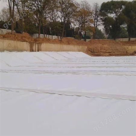 沼气池HDPE复合土工膜 堤坝防水防渗膜 友辰生产