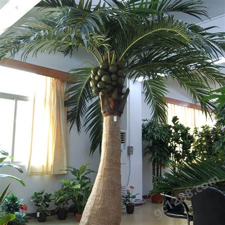 塑料椰子树 性价比高 观赏性强 造景仿真树 专业定做 广晟
