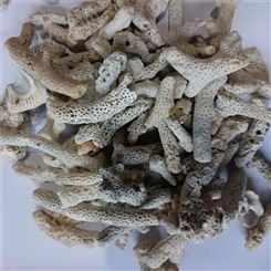 珊瑚石厂家 量大优惠珊瑚砂 养殖用珊瑚砂