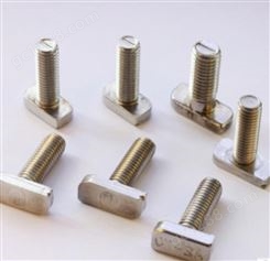 不锈钢T型螺栓 不锈钢非标螺栓 温州厂家制造