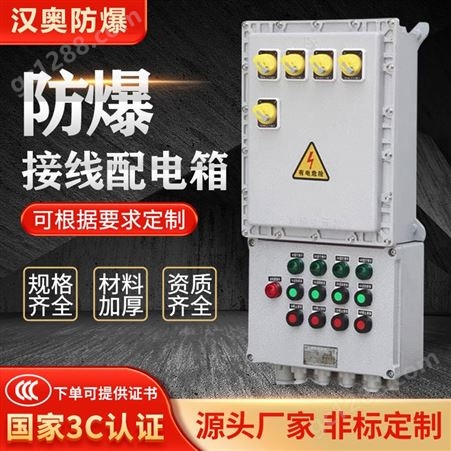 BXM（D）53-A5D5K5铝合金防爆配电箱仪表控制箱Exde ll BT4