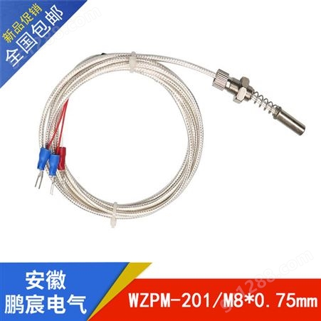 WZPM-201-6*18*1000mm-M8*0.75mm端面热电阻