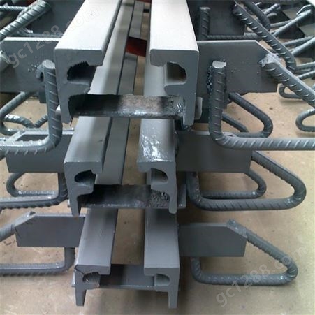 异型钢伸缩缝RG-40 60 80模数式伸缩装置安装施工