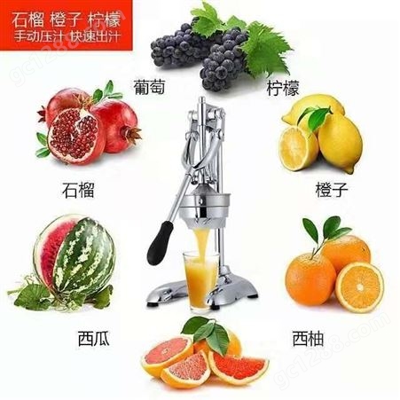 大号手压榨汁机商用304不锈钢石榴橙子简易便携式手动水果压汁机
