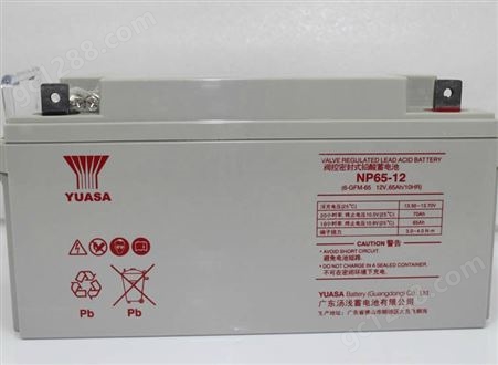 NP65-12 12V65AH汤浅蓄电池12V65AH直流屏UPS电源NP65-12应急EPS太阳能铅酸蓄电池