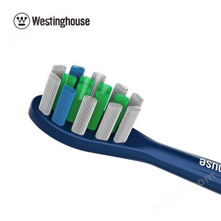西屋 磁悬浮电动牙刷WL-YS4203 感应充电 烘干消毒杀菌功能