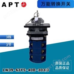 西门子APT 二工转换开关 LW39-63YS-40B-303/3 3档3节 现货