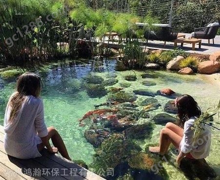 淮安市企业单位室外观赏鱼池过滤系统设计、施工
