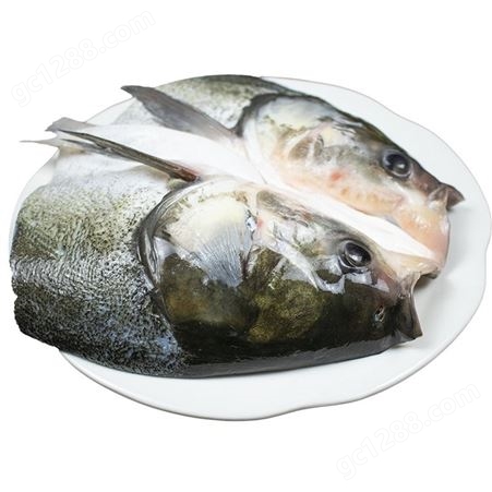 白鲢鱼头白鲢鱼头预制菜活鱼现杀湖北新鲜冷冻腌制鱼头多规格自选