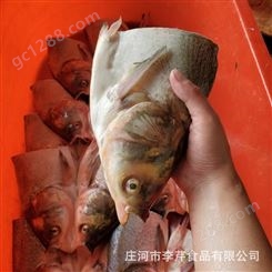 李芹活鱼供应白鲢鱼头淡水鱼开背鱼头预制菜原料全国冷链