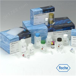 小鼠血管生成素2（ANGPT2）ELISA试剂盒